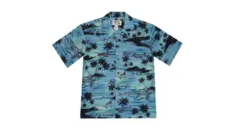Grey Planes Pearl Harbor Hawaii shirt